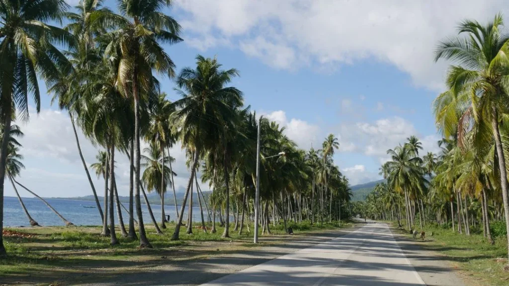 bitumen for tropical roads