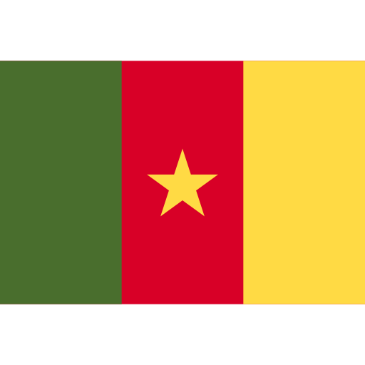 Bitumen Supplier in cameroon​